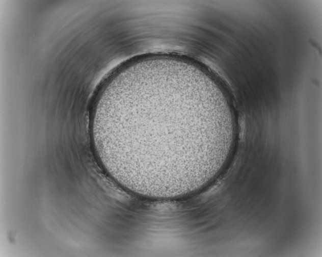 X0000102411021200808221907