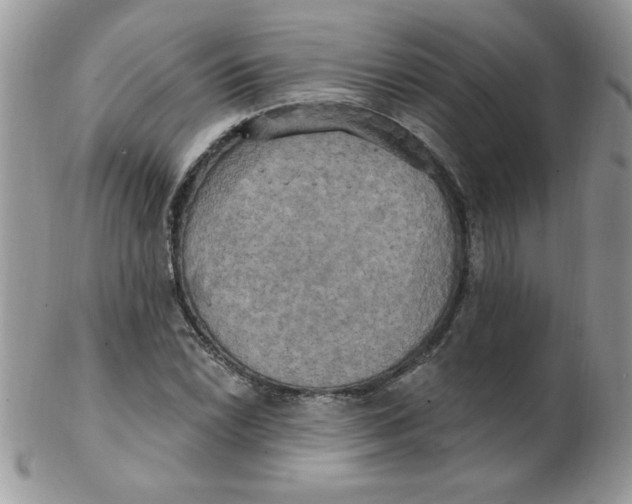 X0000102411022200808221907