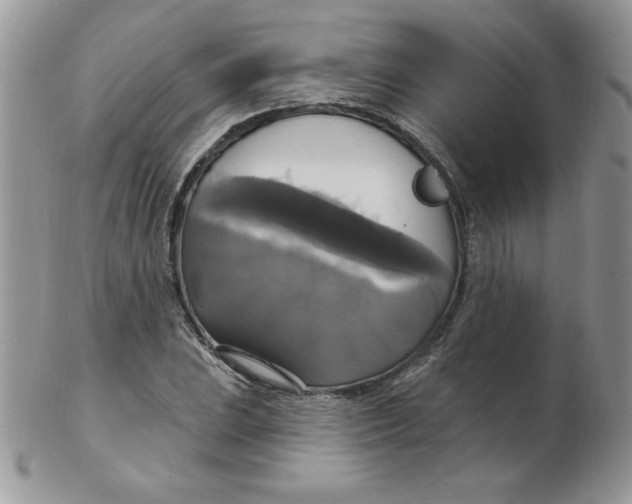 X0000102411023200808221907