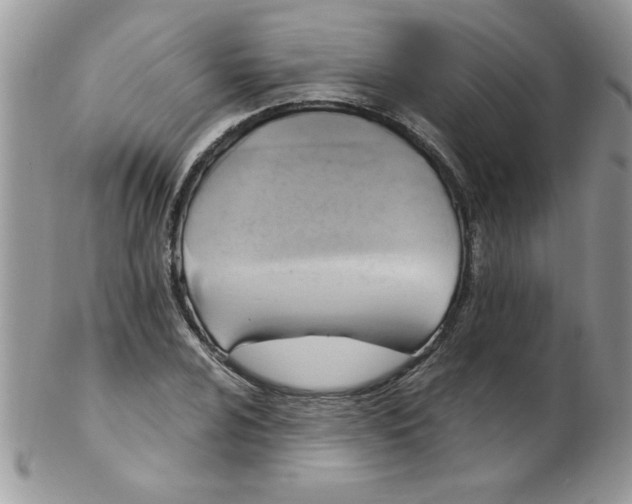 X0000102411024200808221907