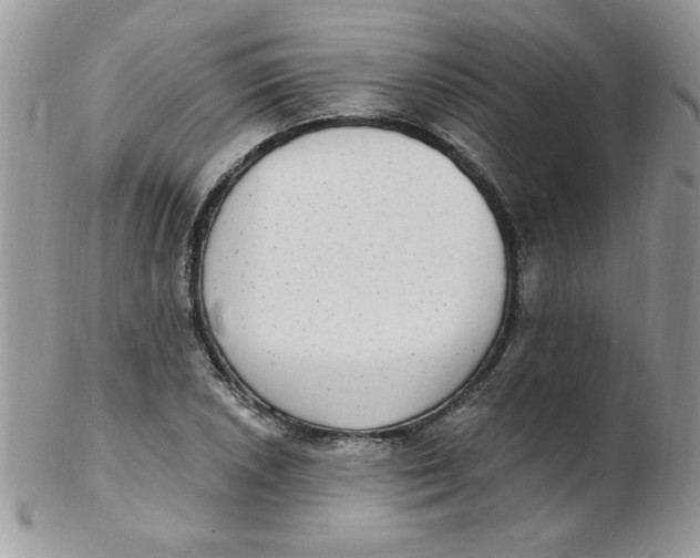 X0000102411026200808221907