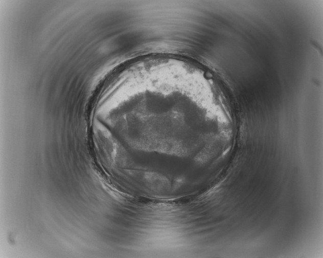 X0000102411027200808221907