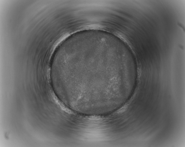 X0000102411029200808221907