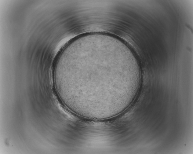 X0000102411030200808221907