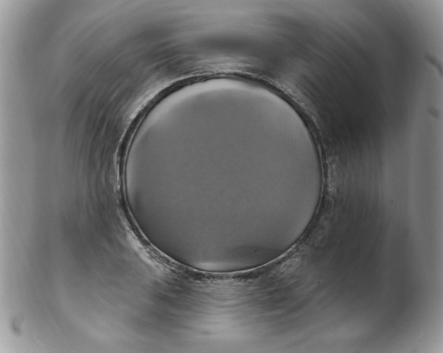 X0000102411031200808221907