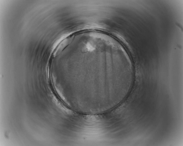 X0000102411032200808221907