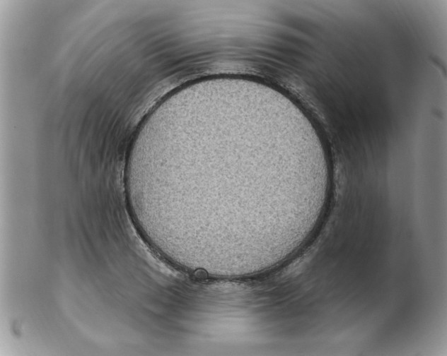 X0000102411033200808221907