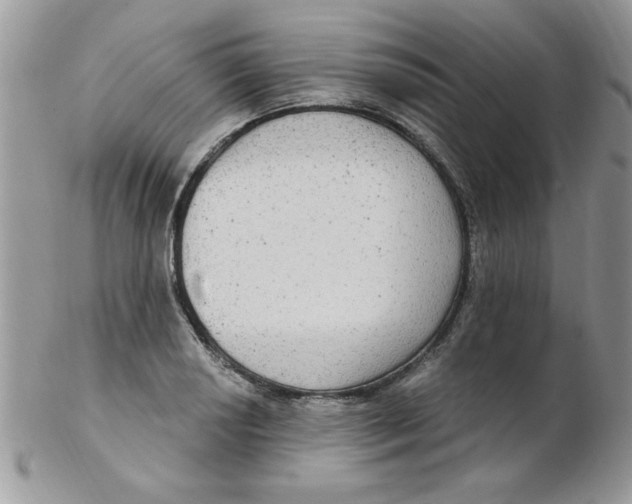 X0000102411034200808221907