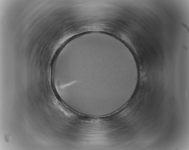 X0000102411035200808221907