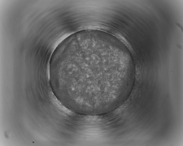 X0000102411036200808221907