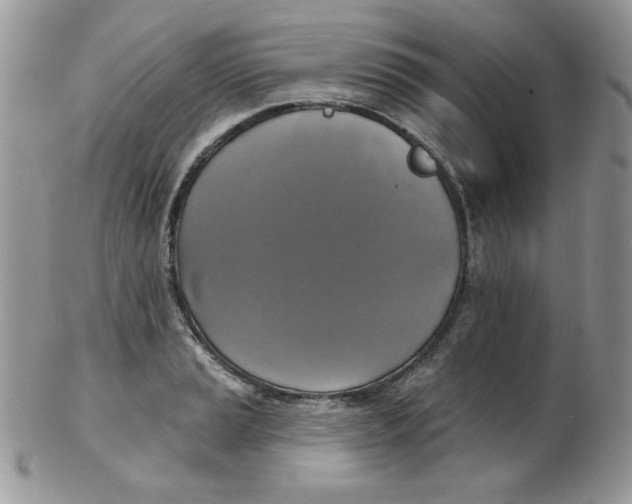 X0000102411037200808221907