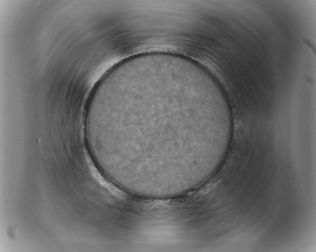 X0000102411038200808221907