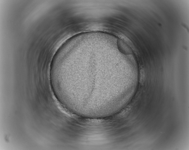 X0000102411039200808221907