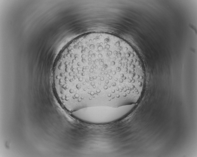 X0000102411040200808221907