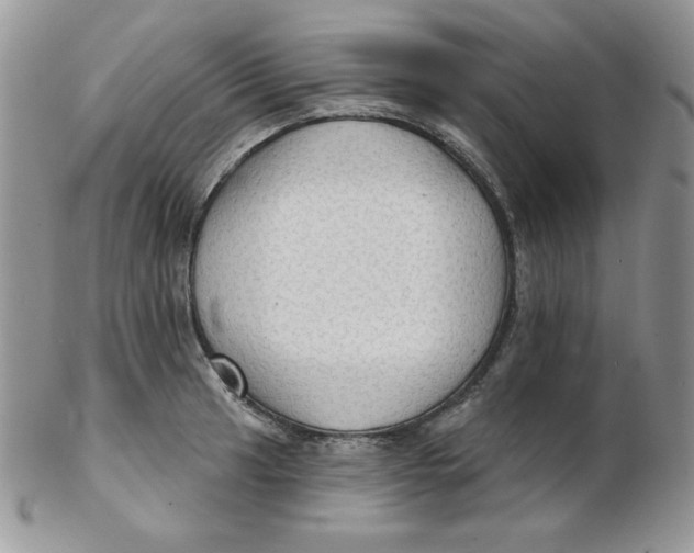 X0000102411041200808221907