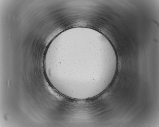 X0000102411042200808221907