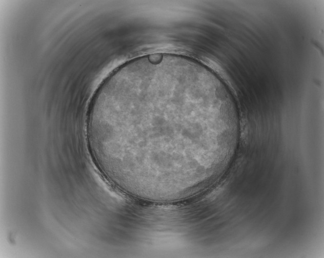 X0000102411043200808221907