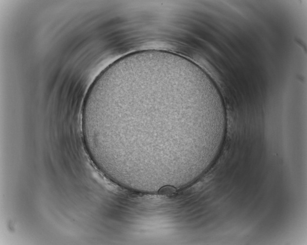 X0000102411044200808221907