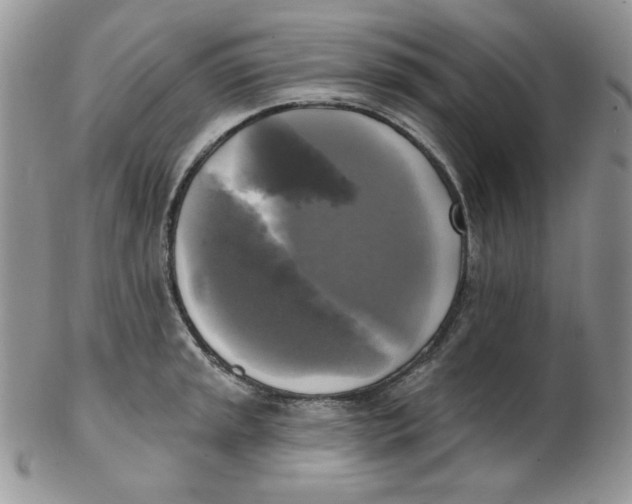 X0000102411045200808221907