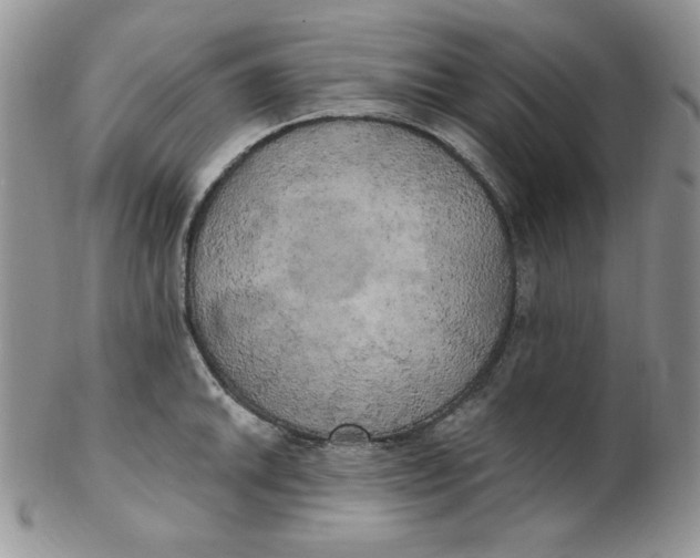 X0000102411046200808221907