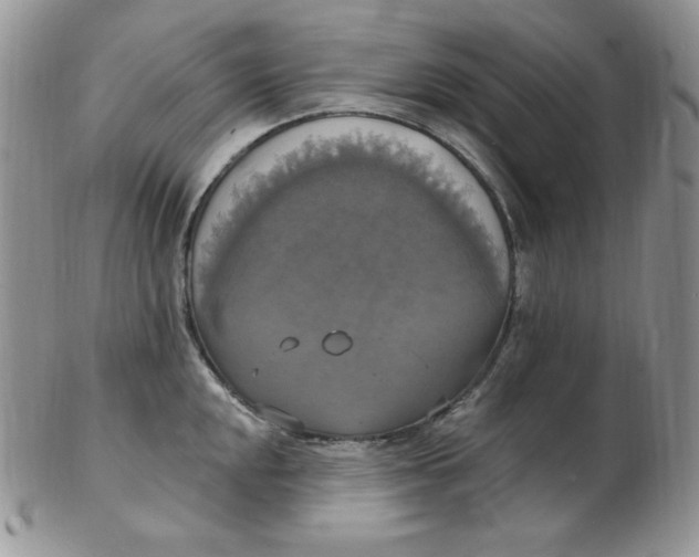 X0000102411048200808221907