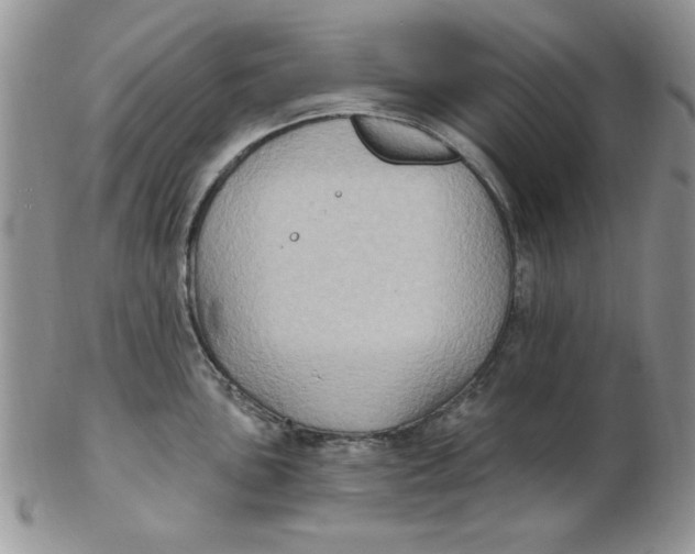 X0000102411051200808221907