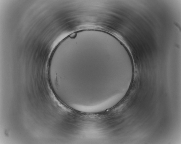 X0000102411053200808221907