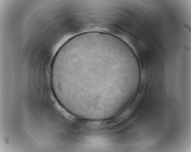 X0000102411054200808221907