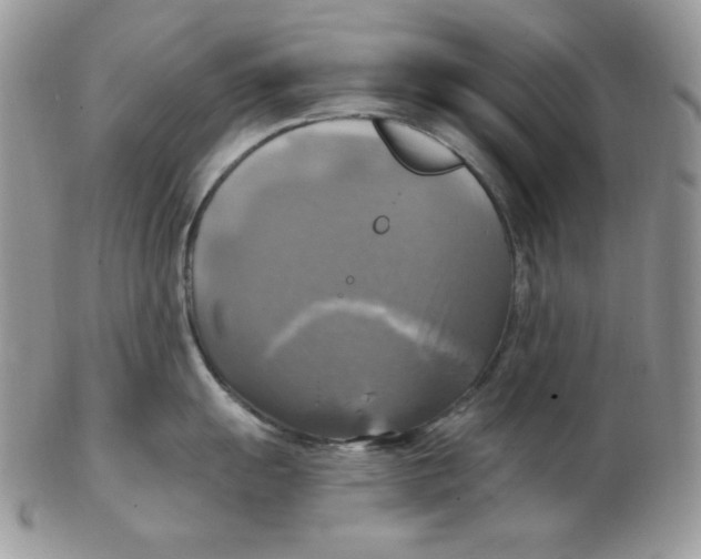 X0000102411055200808221907