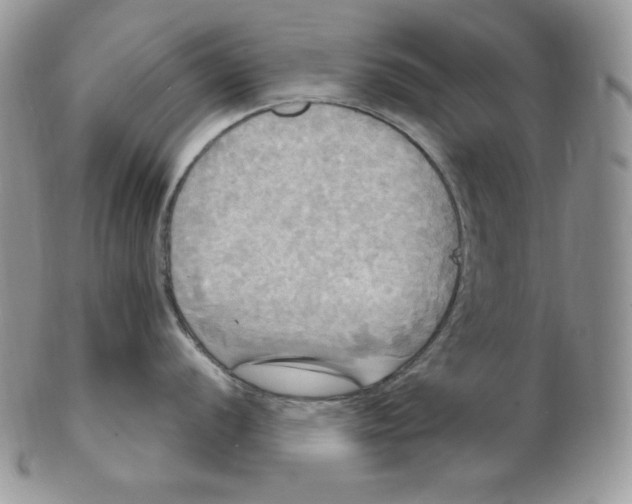 X0000102411056200808221907