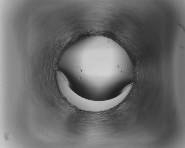 X0000102411057200808221906