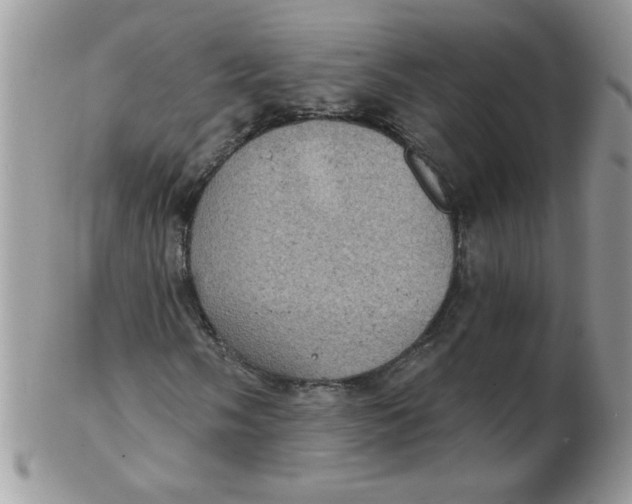 X0000102411058200808221906