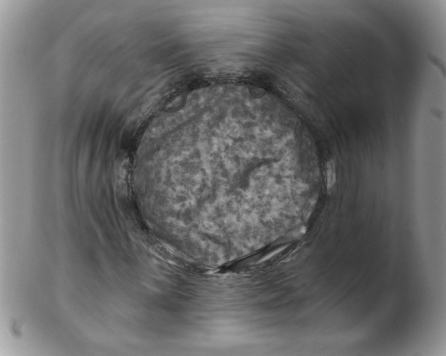 X0000102411059200808221906