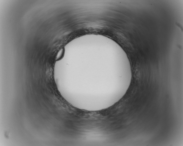 X0000102411061200808221906