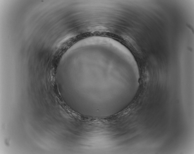 X0000102411063200808221906