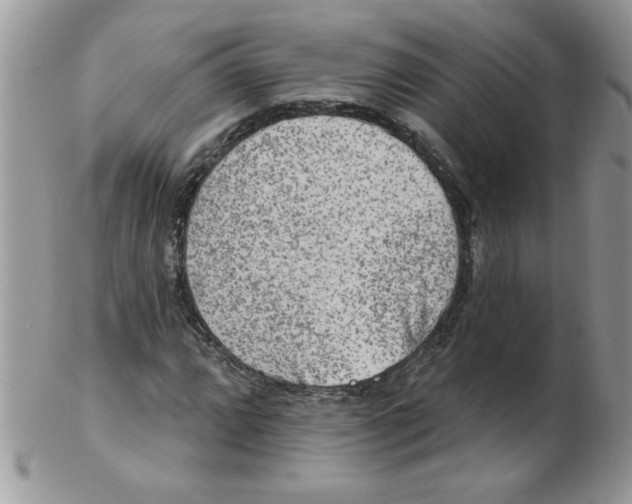 X0000102411064200808221906