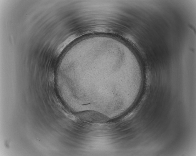 X0000102411065200808221906