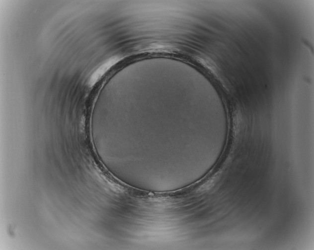 X0000102411066200808221906