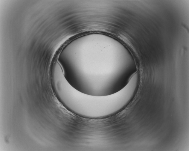 X0000102411068200808221906