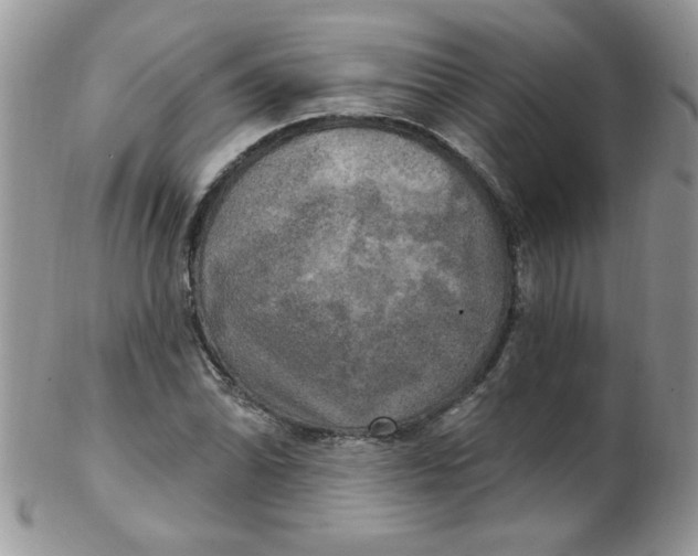 X0000102411070200808221906