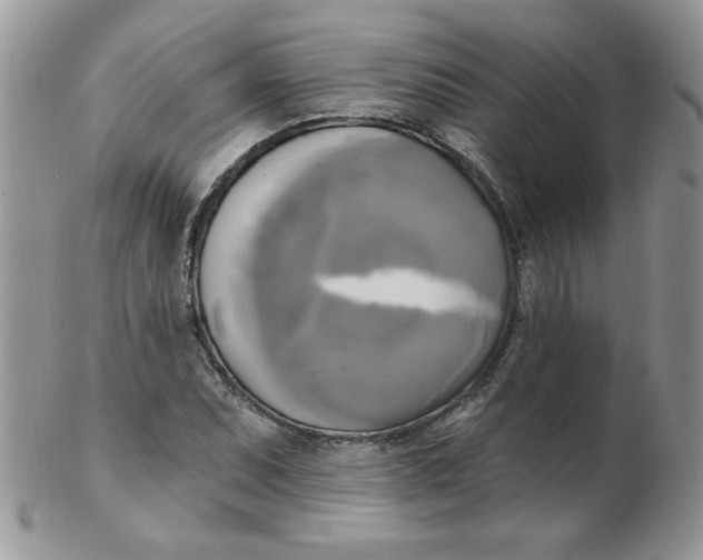 X0000102411071200808221906