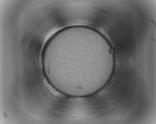 X0000102411072200808221906