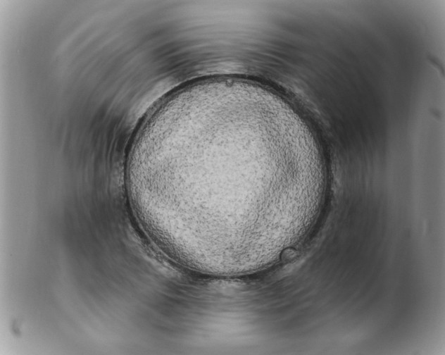 X0000102411073200808221906