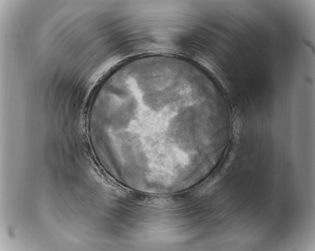 X0000102411074200808221906