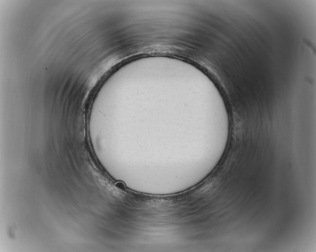 X0000102411075200808221906