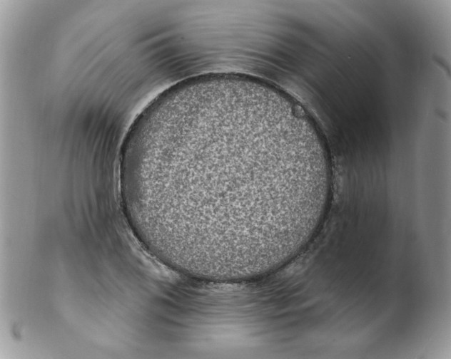 X0000102411076200808221906