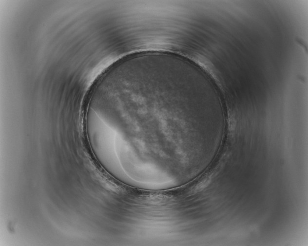 X0000102411077200808221906