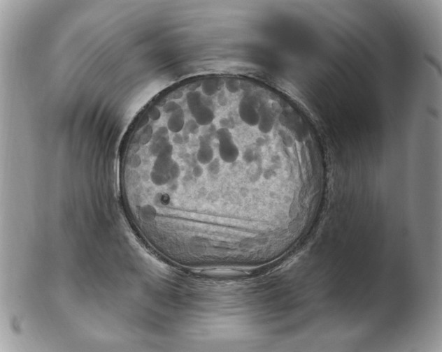 X0000102411079200808221906