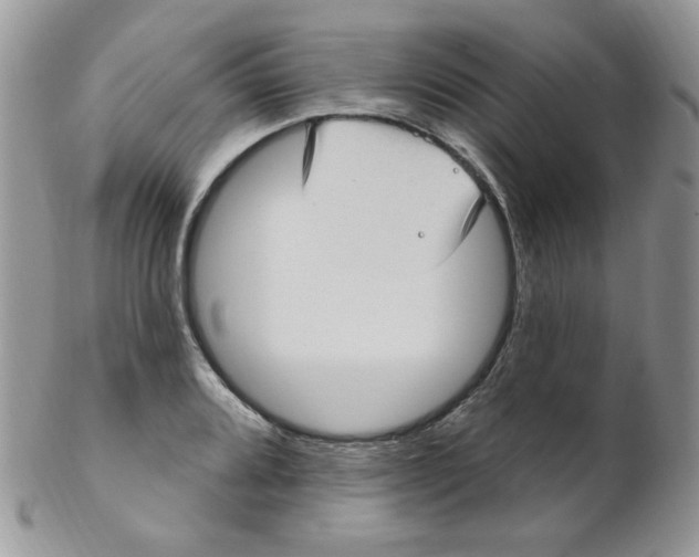 X0000102411080200808221906