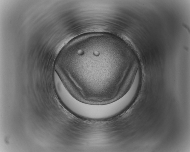 X0000102411081200808221906